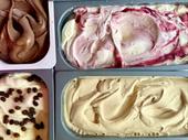 established artisan ice cream