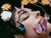 profitable e-commerce beauty brand