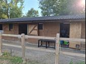land paddocks stables ashford