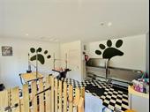 dog groomers for sale