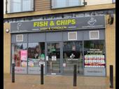 immaculate superbly fitted fish
