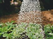 contract garden maintenance soft