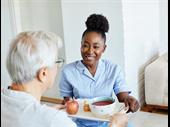 home care franchise with