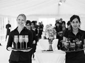 premium party wedding planning